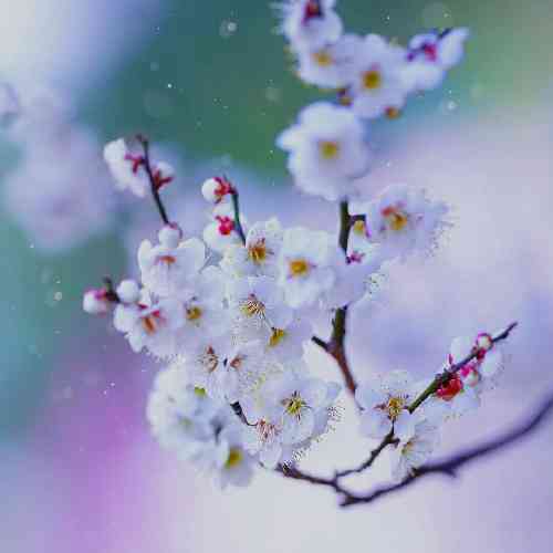 رضا دل شکسته 3